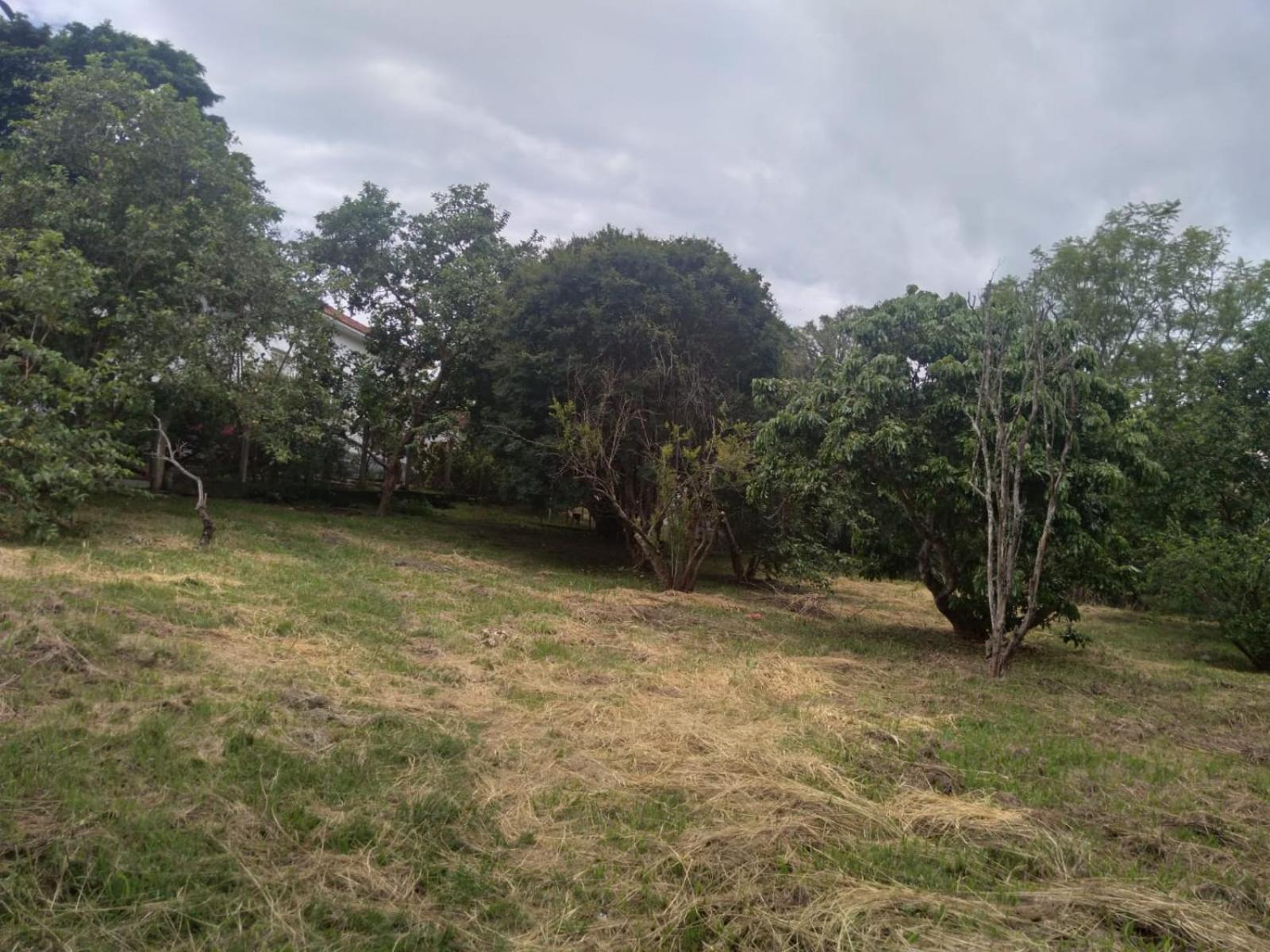 Casa Delicia Em Passa Quatro Ate 6 Pessoasヴィラ エクステリア 写真
