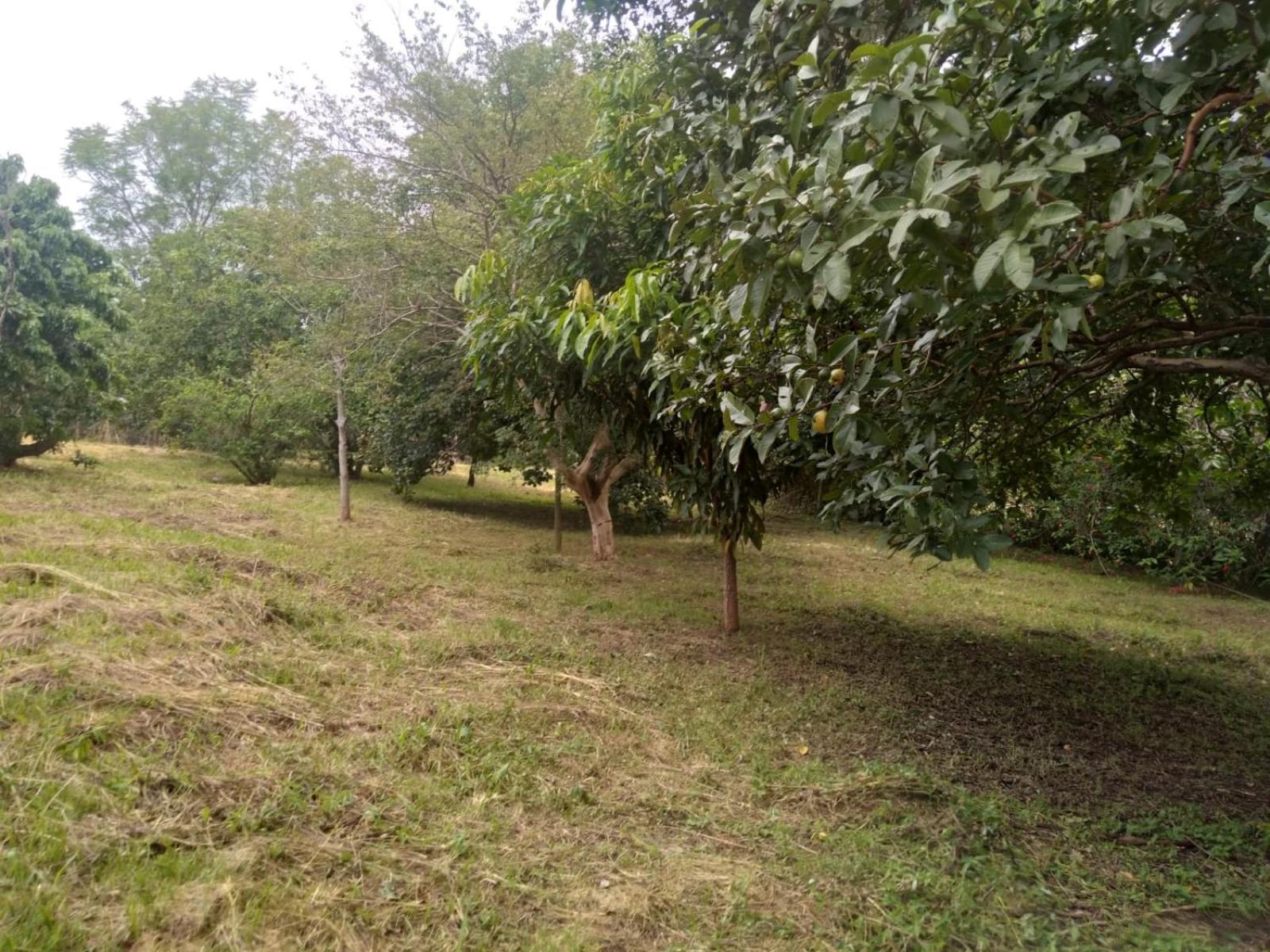 Casa Delicia Em Passa Quatro Ate 6 Pessoasヴィラ エクステリア 写真