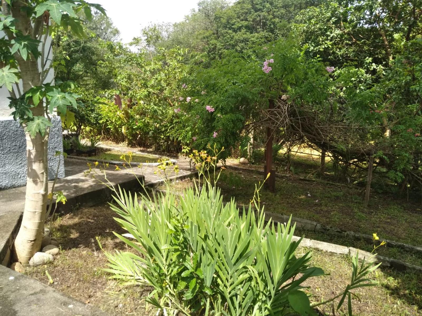 Casa Delicia Em Passa Quatro Ate 6 Pessoasヴィラ エクステリア 写真