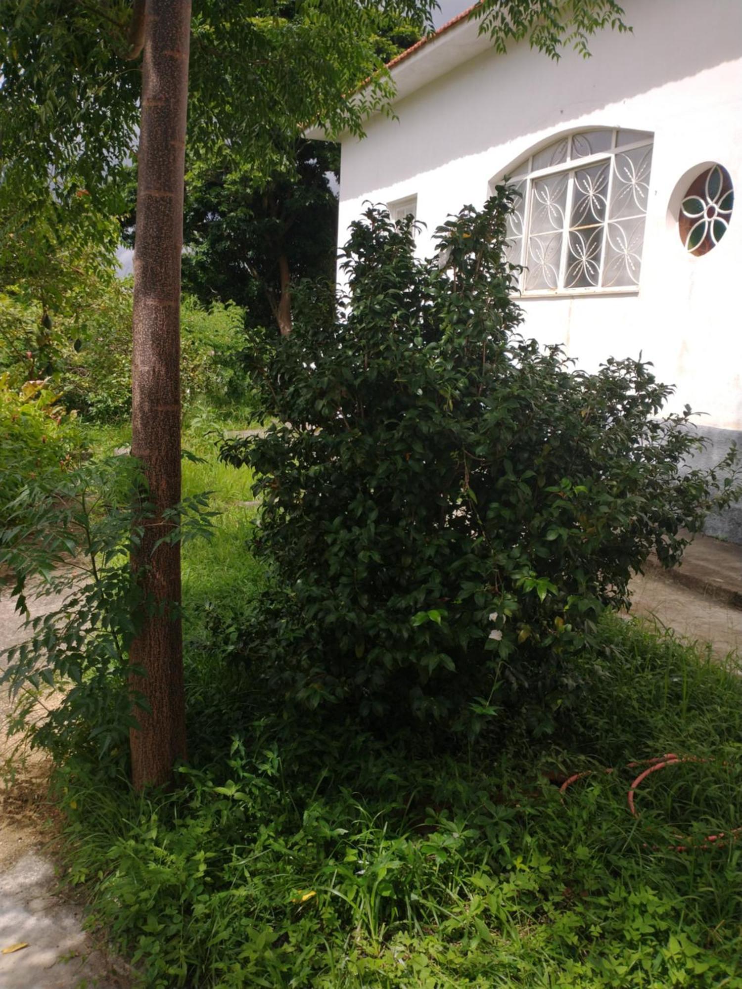 Casa Delicia Em Passa Quatro Ate 6 Pessoasヴィラ エクステリア 写真